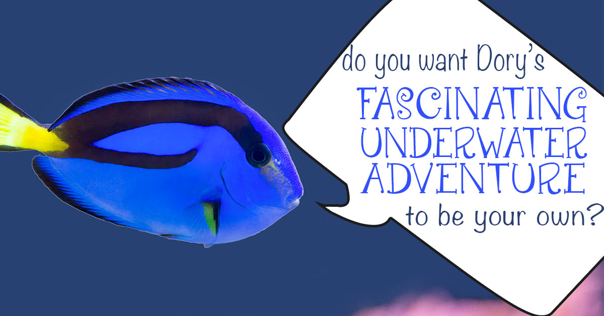 Do You Want Dory's Fascinating Underwater World to be Your Own
